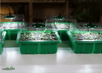 PlantBoost™ - 5 Pack Inomhusväxthus Med LED Och Luftcirkulation